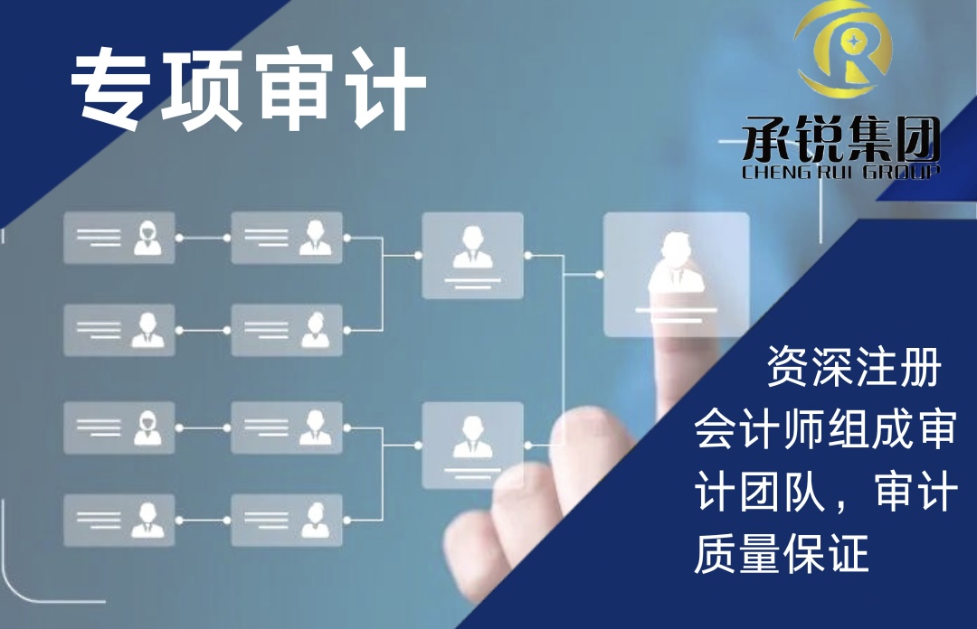 專項審計